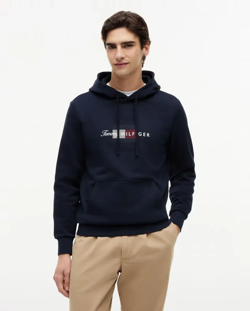 Мужская худи с капюшоном Tommy Hilfiger, Azul Marino