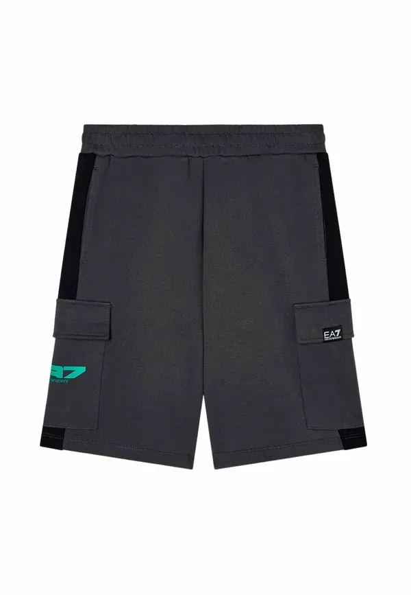 Брюки-карго Ea7 Emporio Armani, серый