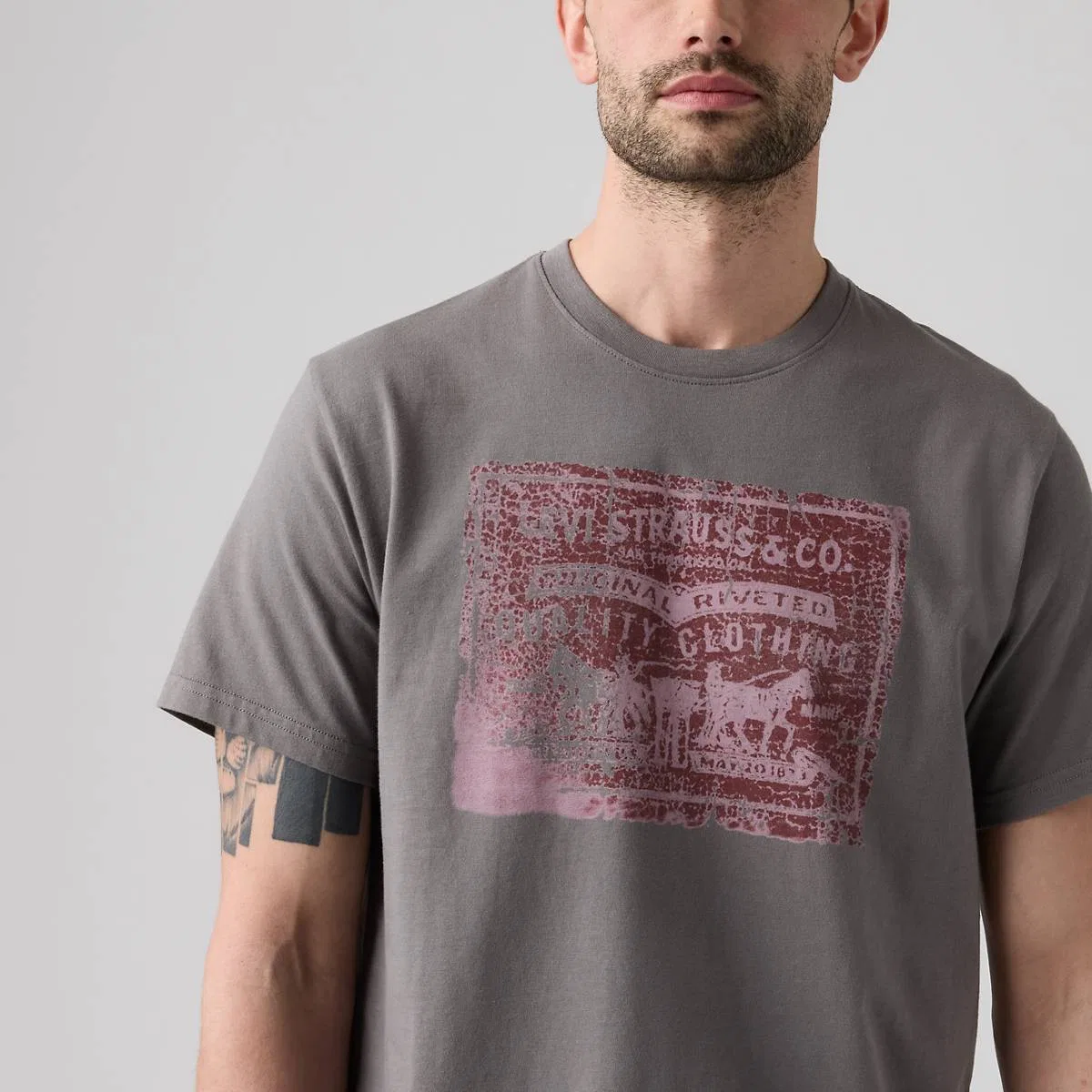 Свободная футболка с графическим принтом Levi's, Two Horse Pull Smoked Pearl - Black — фото 2