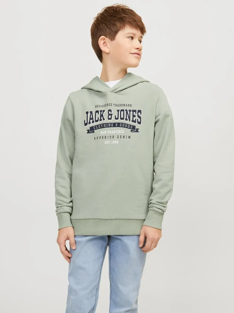 

Детская толстовка Jack & Jones "JJELOGO SWEAT HOOD 2 COL 23/24 SN MNI" Jack & Jones Junior, цвет Desert Sage