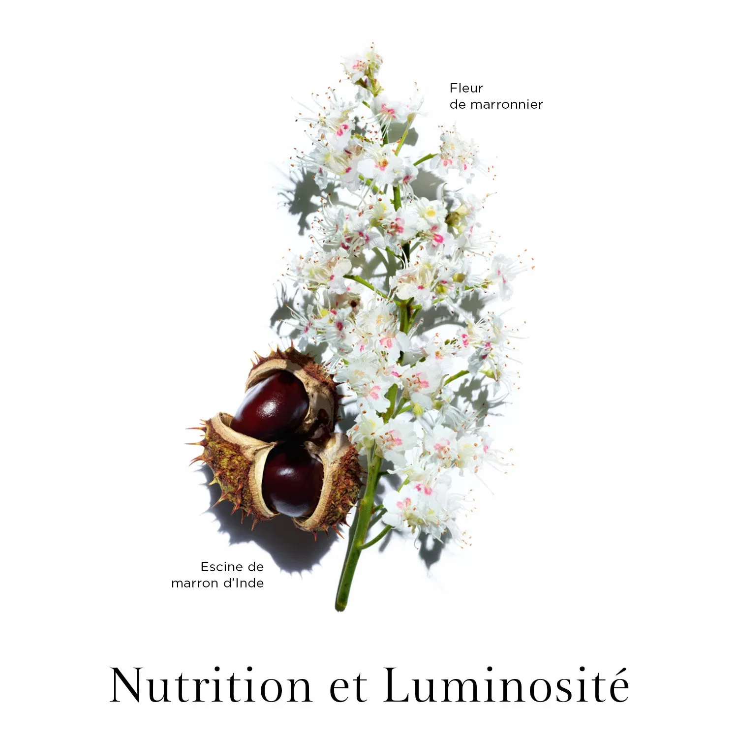 Эмульсия для лица Nutri Lumière 60+ Jour, 50 мл, CLARINS — фото 3