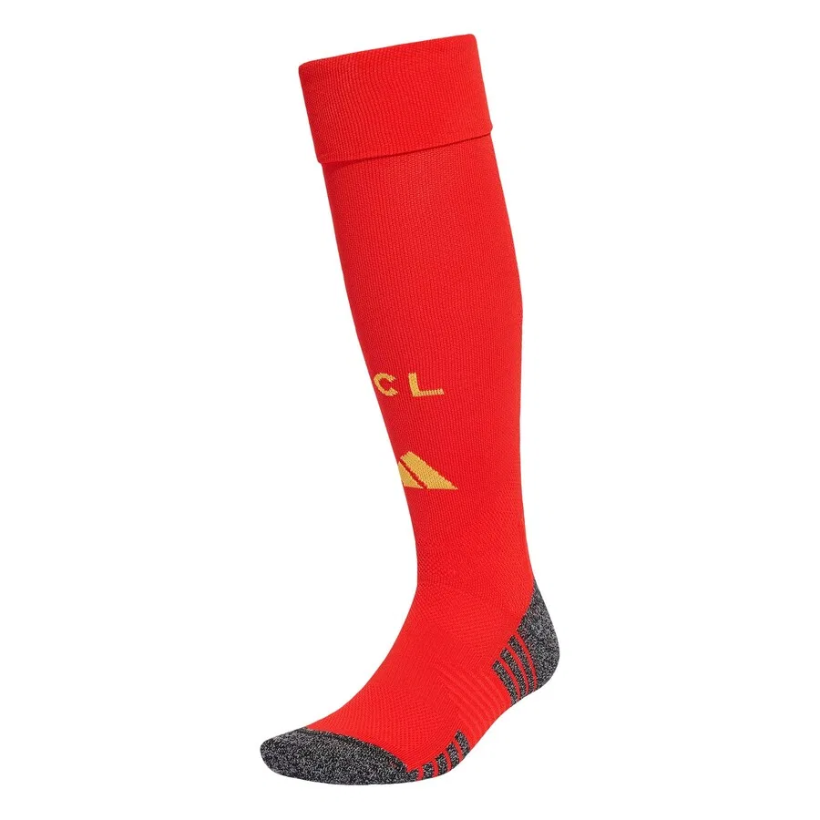 Спортивные носки ADIDAS PERFORMANCE 'Rc Lens 26/27' красного цвета