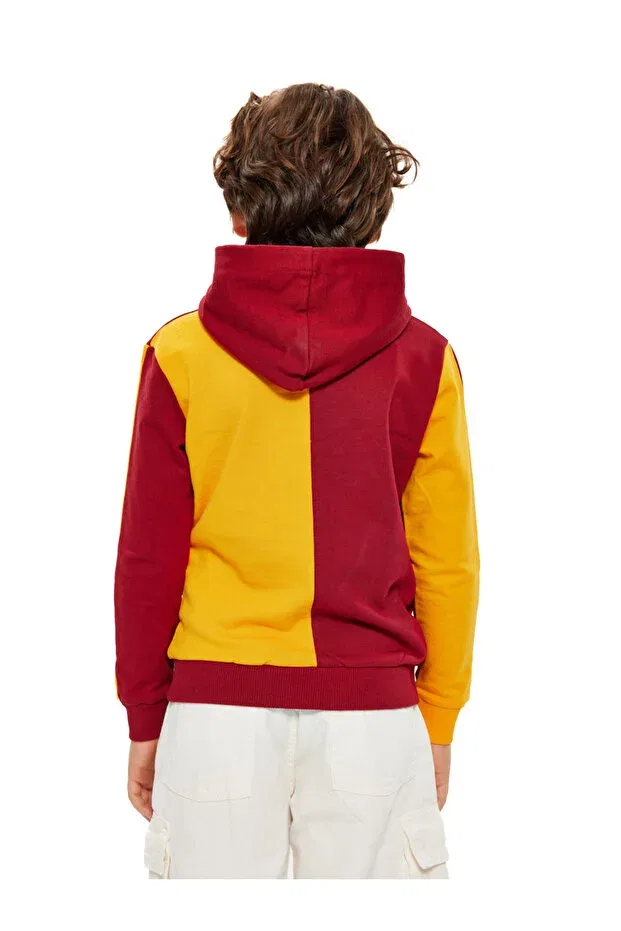 Детская толстовка с капюшоном для девочек Galatasaray Metin Oktay Kids Sweatshirt C88086 Gsstore, Цвет 1279 — фото 4