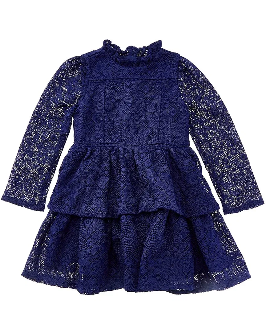 Детское платье для девочек с длинным рукавом и кружевной отделкой The Layered Lace Party Dress Janie and Jack, синий — фото 2