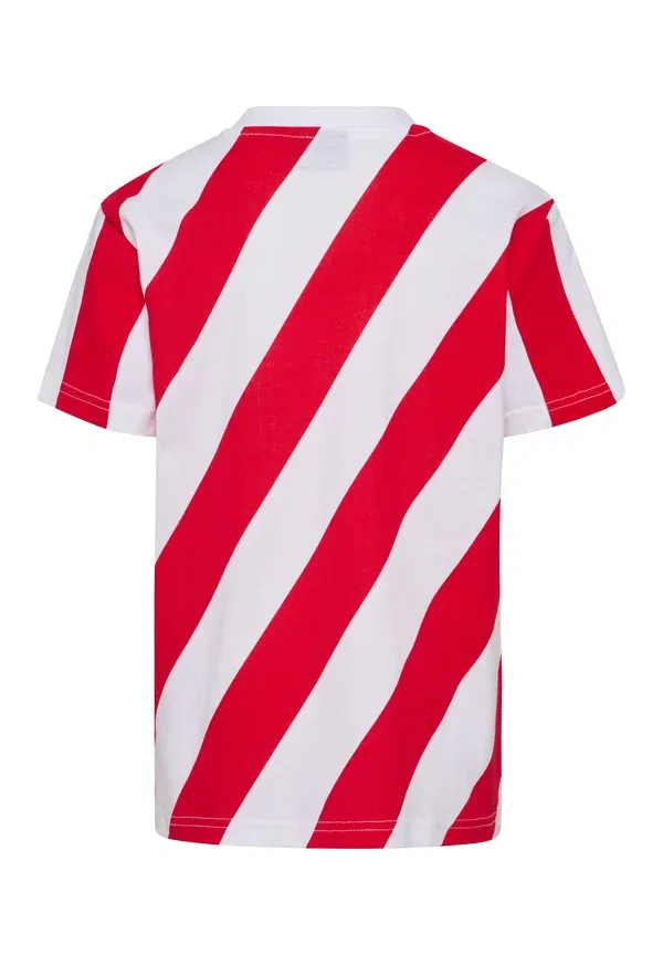 Футболка Dbu 26 fan dynamite ss для детей унисекс - одежда национальной сборной Hummel, белый/красный — фото 2