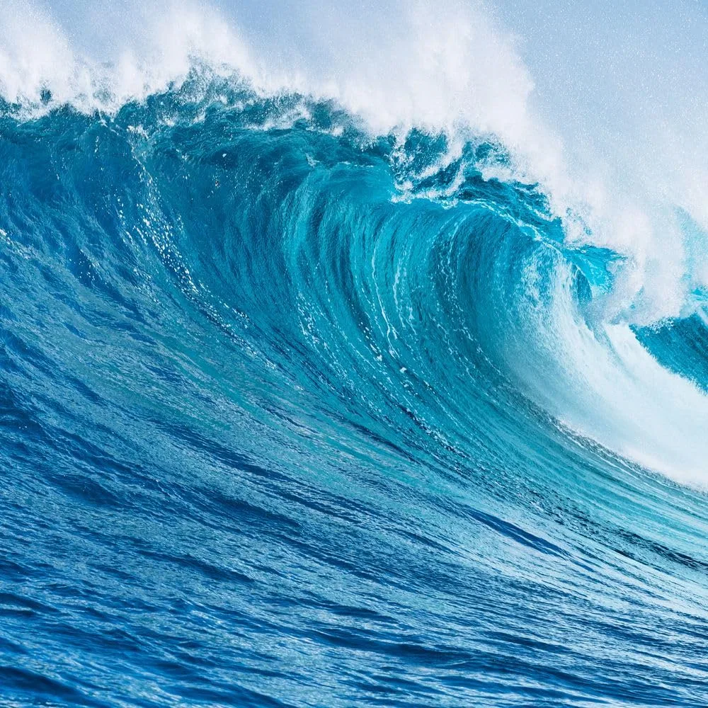 Жидкое мыло Mystic Biofresh Ocean Scent, 500 мл Biofresh Cosmetics — фото 2