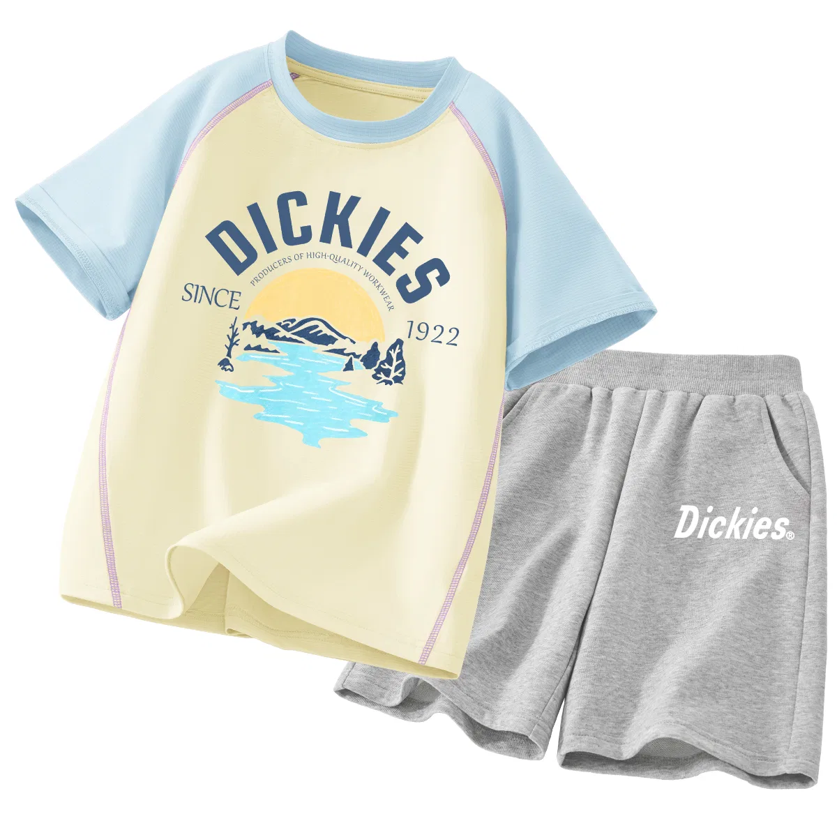 Детский комплект из футболки и шорт Dickies, Steel Painting Logo in White+Steel L Negative Logo in Black — фото 3