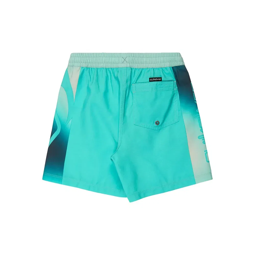 Плавки Everyday Holmes Volley 16'' Quiksilver, зеленый — фото 2