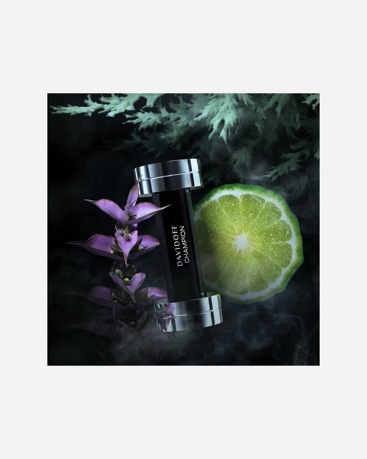 Чемпион туалетной воды Davidoff, 90 Ml — фото 4