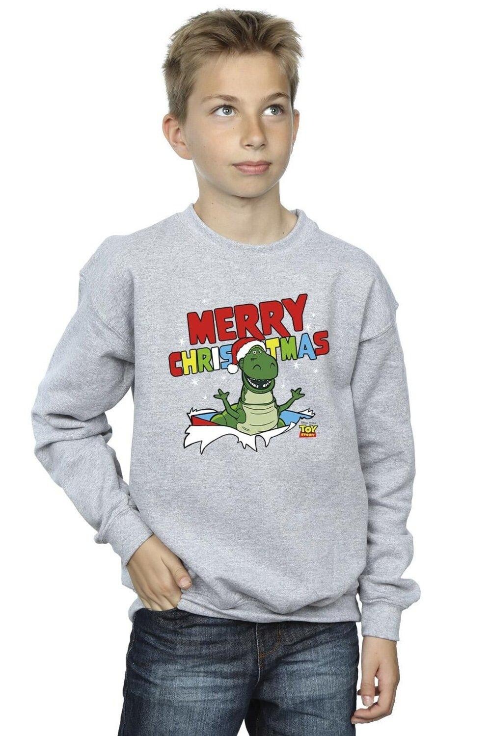 

Толстовка Toy Story Rex Christmas Burst Disney, серый