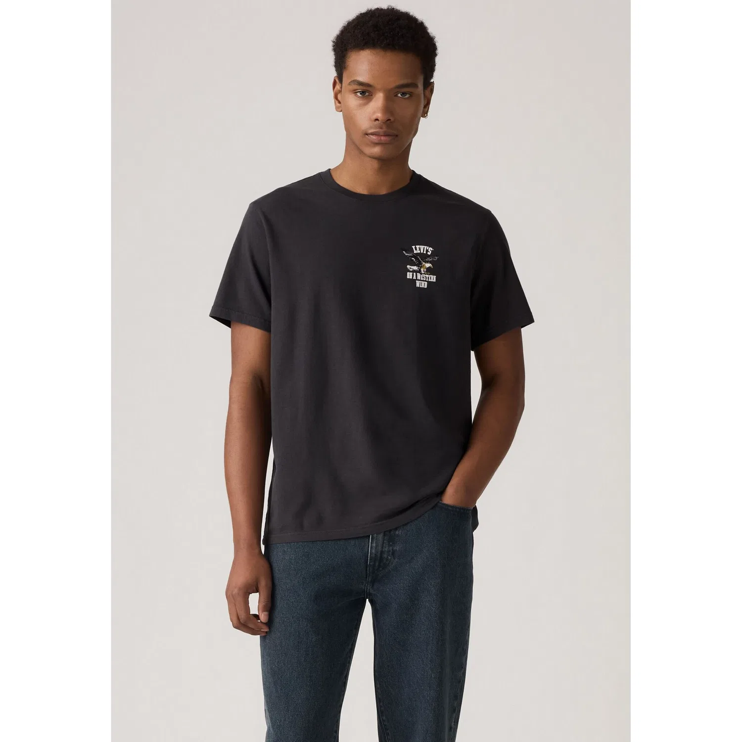 Мужская футболка свободного кроя с логотипом Levi's, Western Wind Eagle 1
