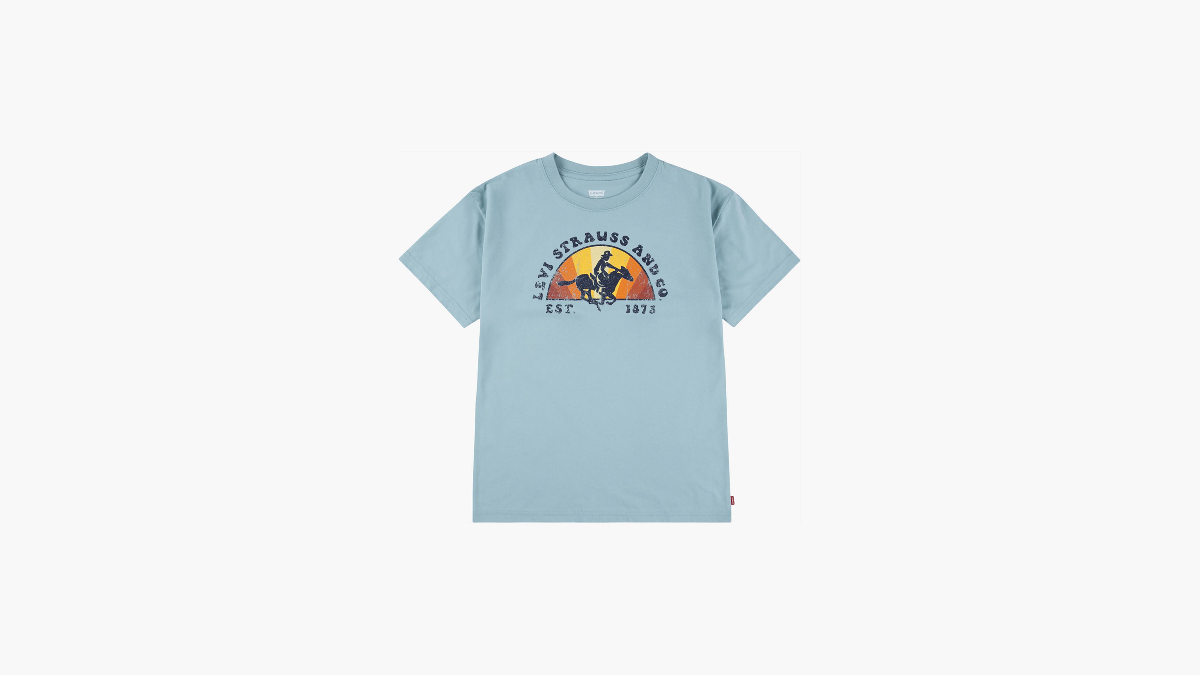 

Футболка Into The Sunset для больших мальчиков S-XL Levi's, цвет Ether - Green