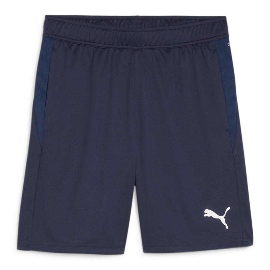 

Мужские шорты Puma teamGOAL Training Short 658643