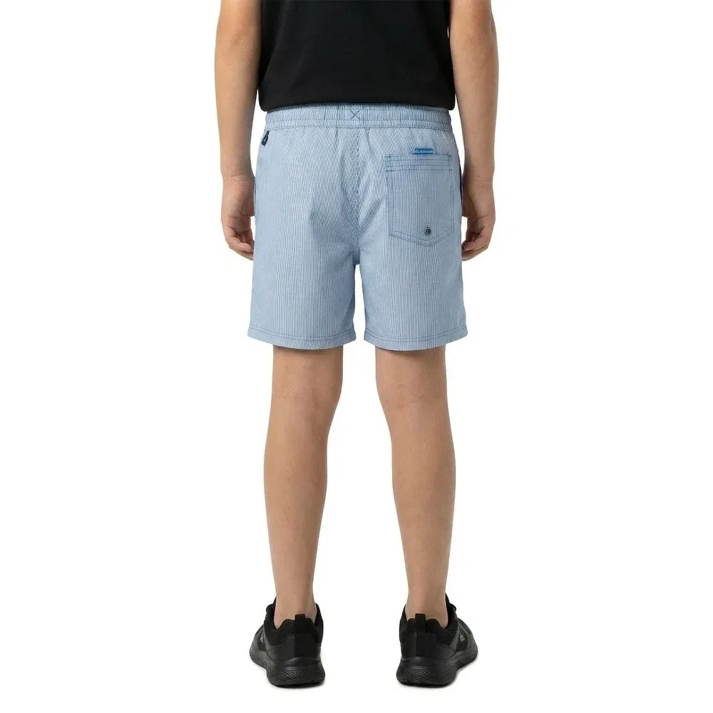 Плавки Everyday Deluxe Volley 14 Quiksilver, синий — фото 4