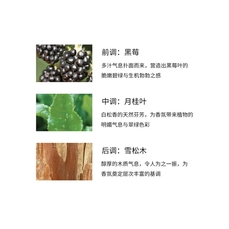 Набор ароматов Blackberry and Laurel Leaf и English Pear and Freesia Jo Malone London, 30 мл + 9 мл — фото 3