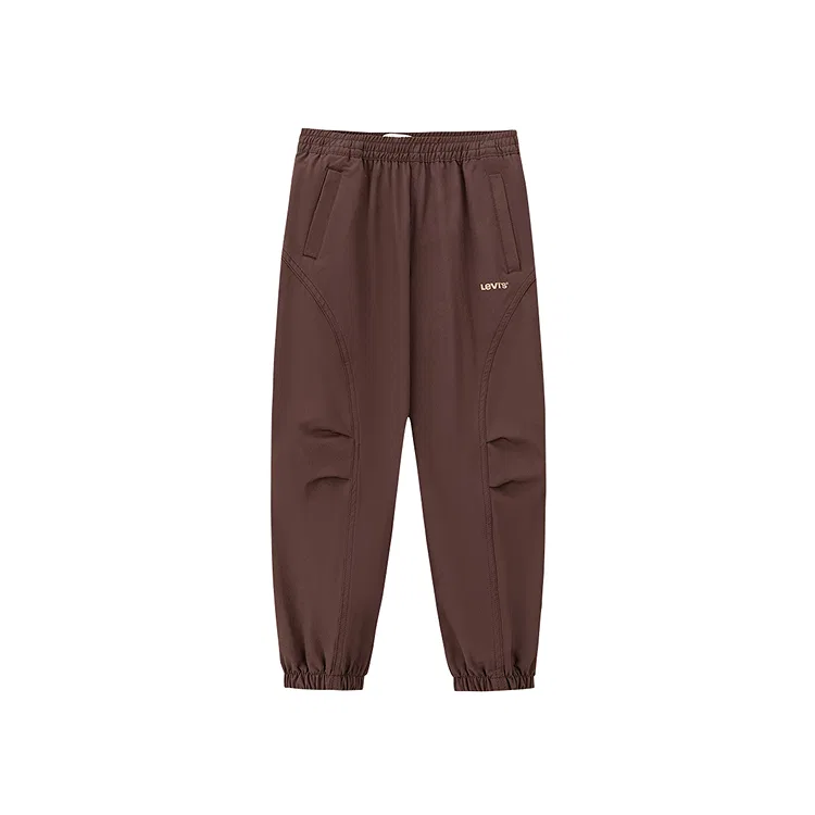 Детские брюки для мальчиков с зауженным кроем Levi's Pre School Pants Moderate, Brown