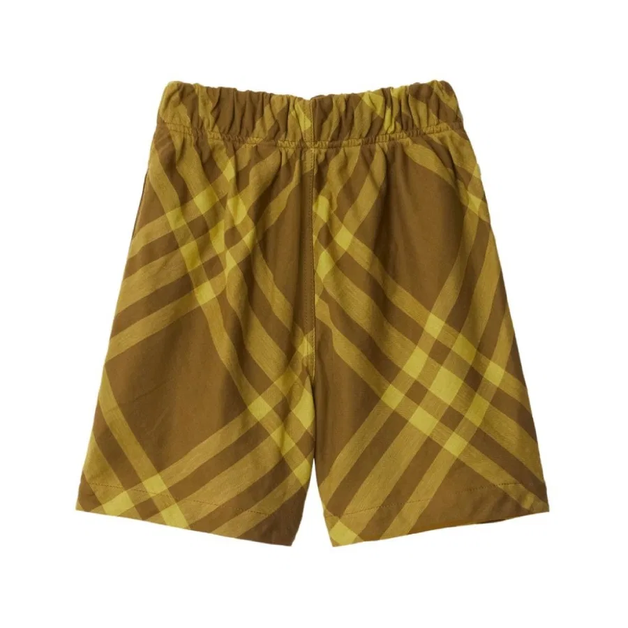 Шорты хлопковые с эластичным поясом Kids Elastic Waist Checkered Burberry, Golden Brown — фото 2