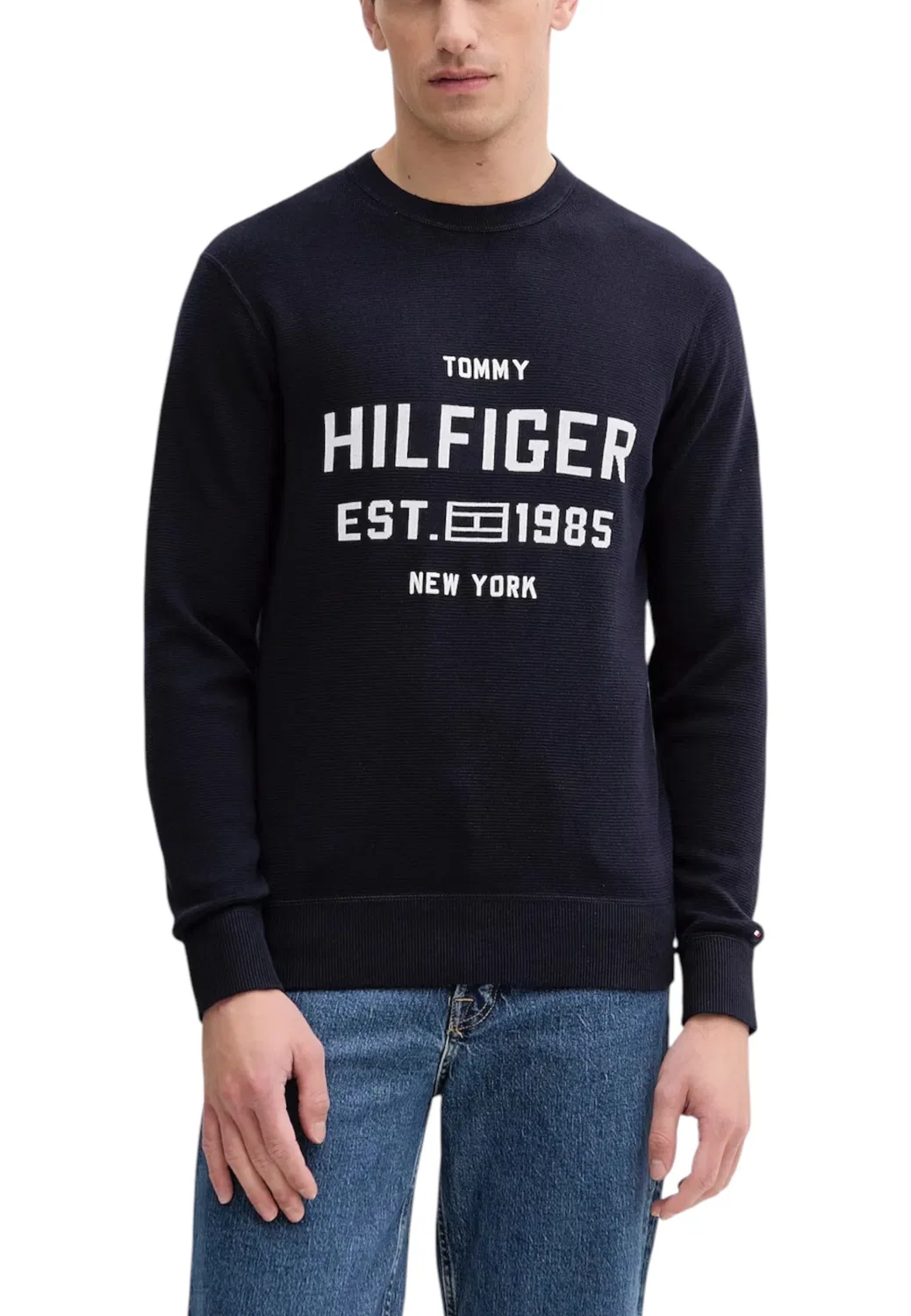 Мужской свитер с принтом, синий Tommy Hilfiger