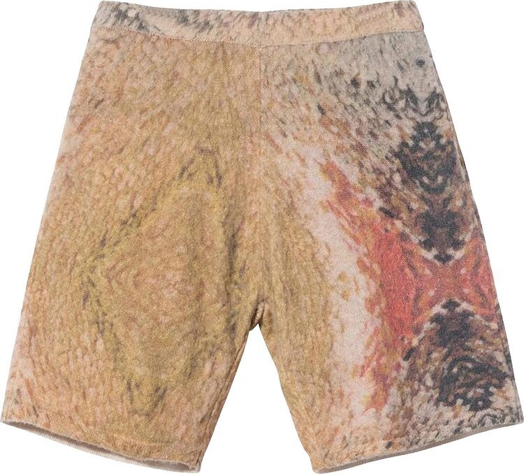

Шорты Stussy Wings Print Knit Short 'Multi', разноцветный