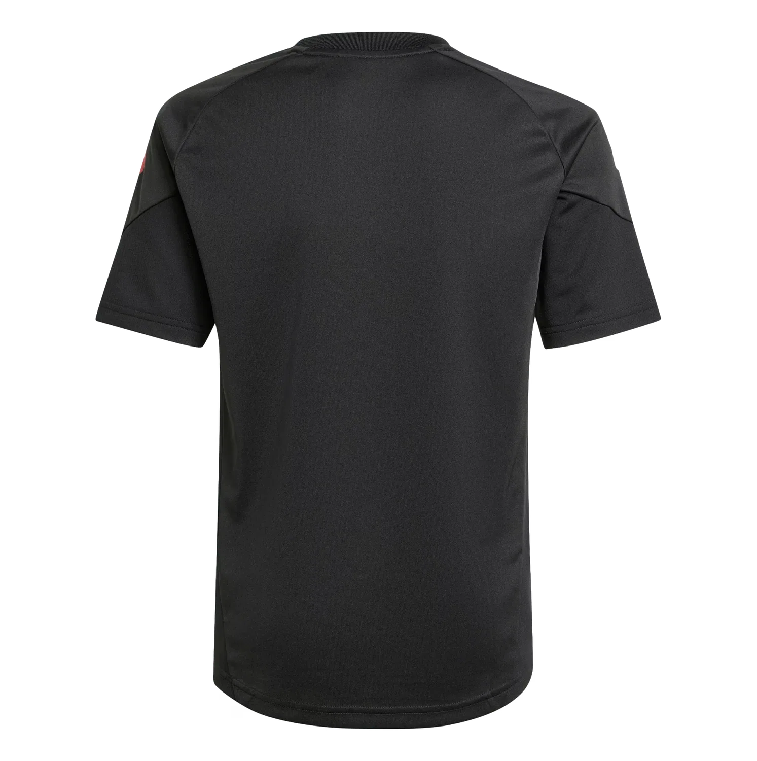 Детская футболка Ajax Tiro 25 Competition Adidas, черный — фото 2