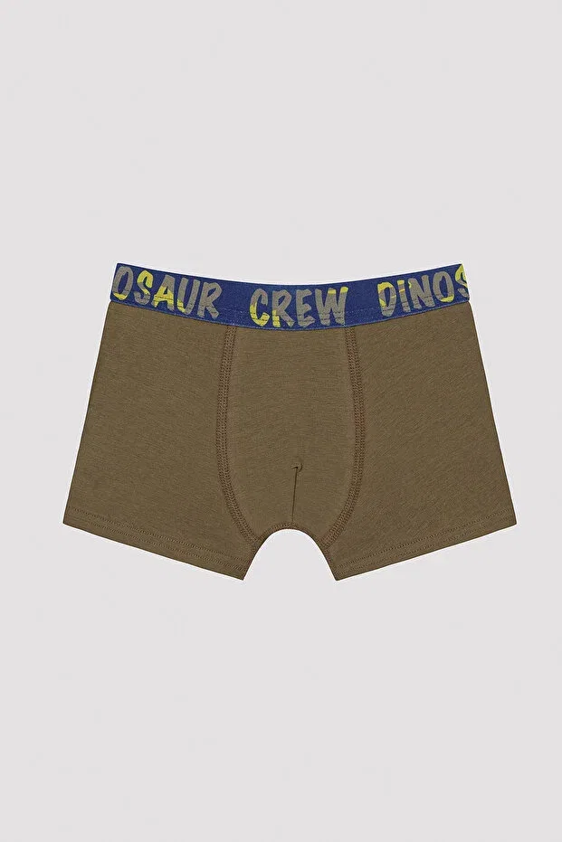 Детские боксеры для мальчиков с принтом Dinosur Crew Slogan Printed Penti, Multicolor — фото 3