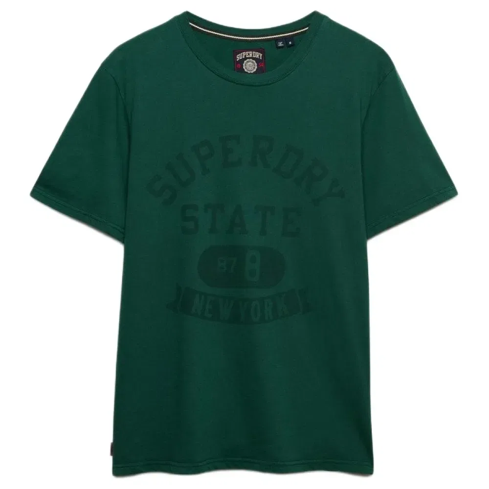 Мужская футболка с принтом Athletic Tonal Superdry, Green