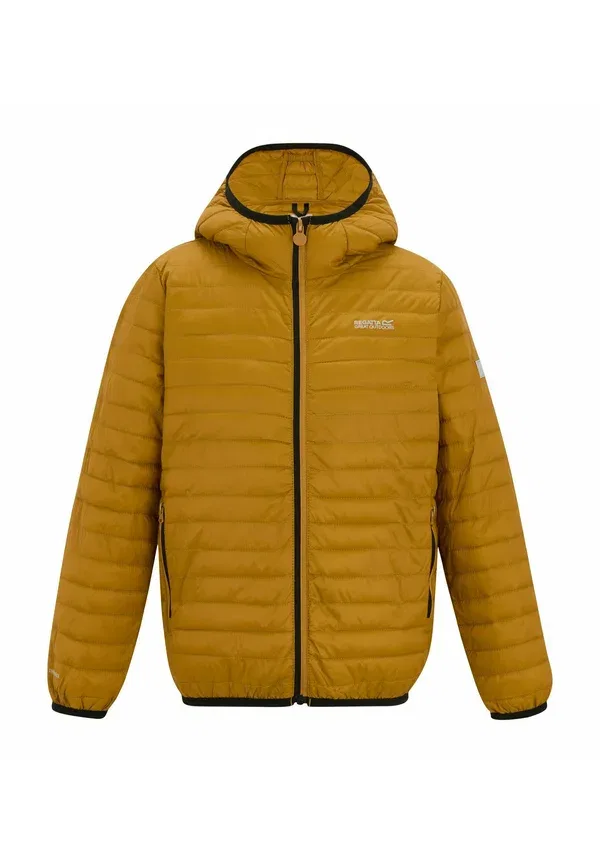 Куртка пуховик утепленная Hillpack, Regatta, wood brown, коричневый — фото 3