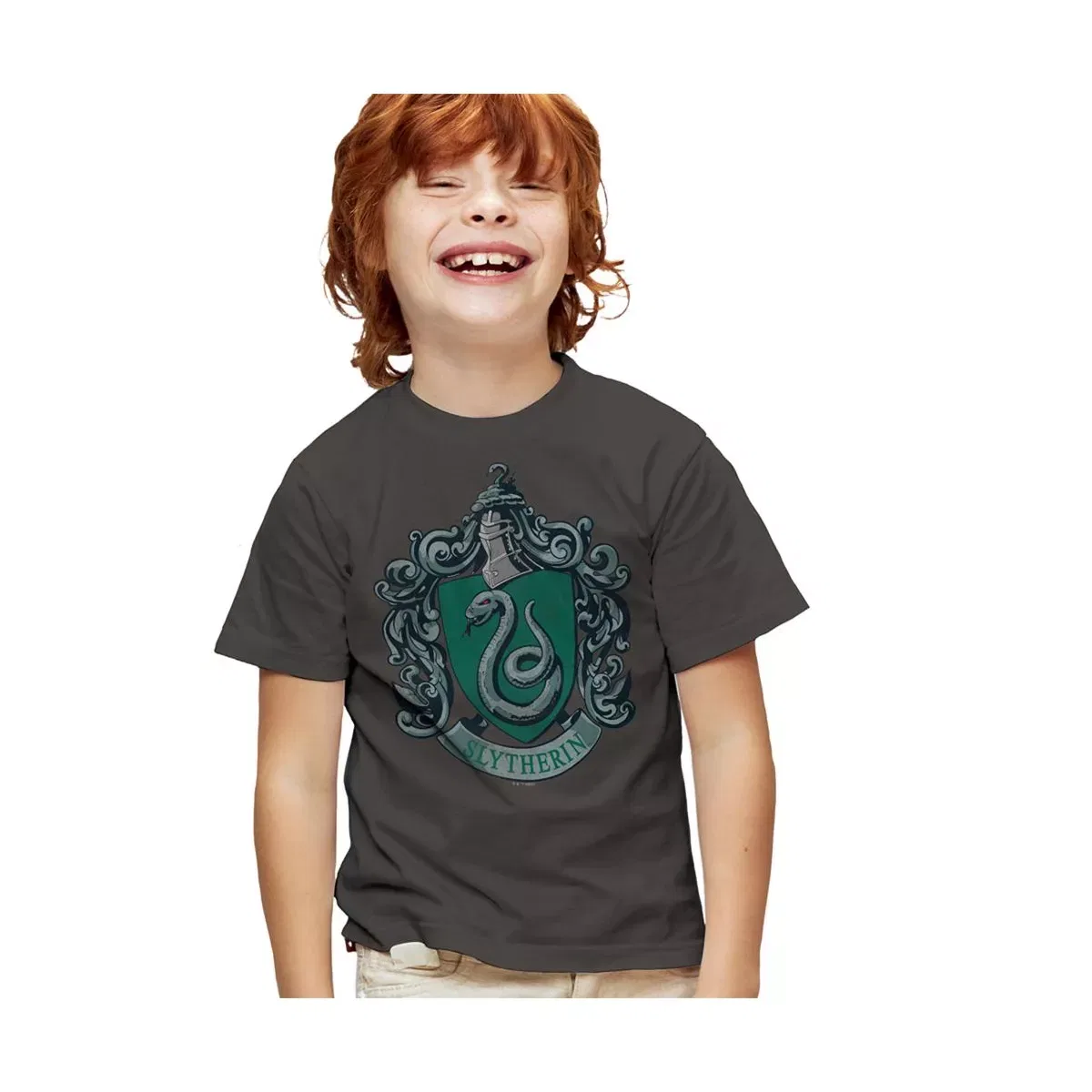 Детская футболка с принтом Harry Potter Distressed Slytherin Crest Harry Potter, Charcoal