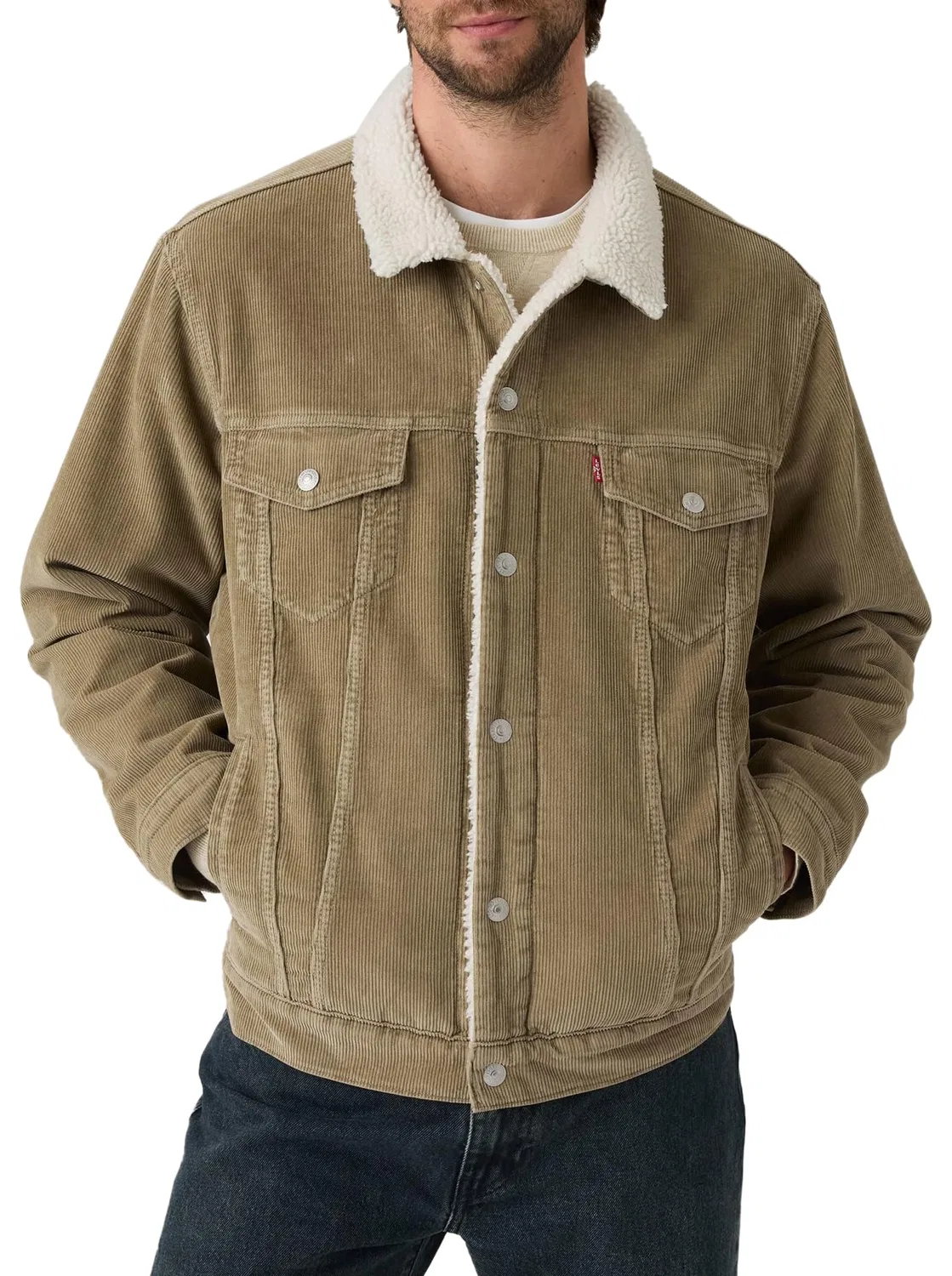 Мужская куртка с флисовой подкладкой Levi's, Wolf Timber