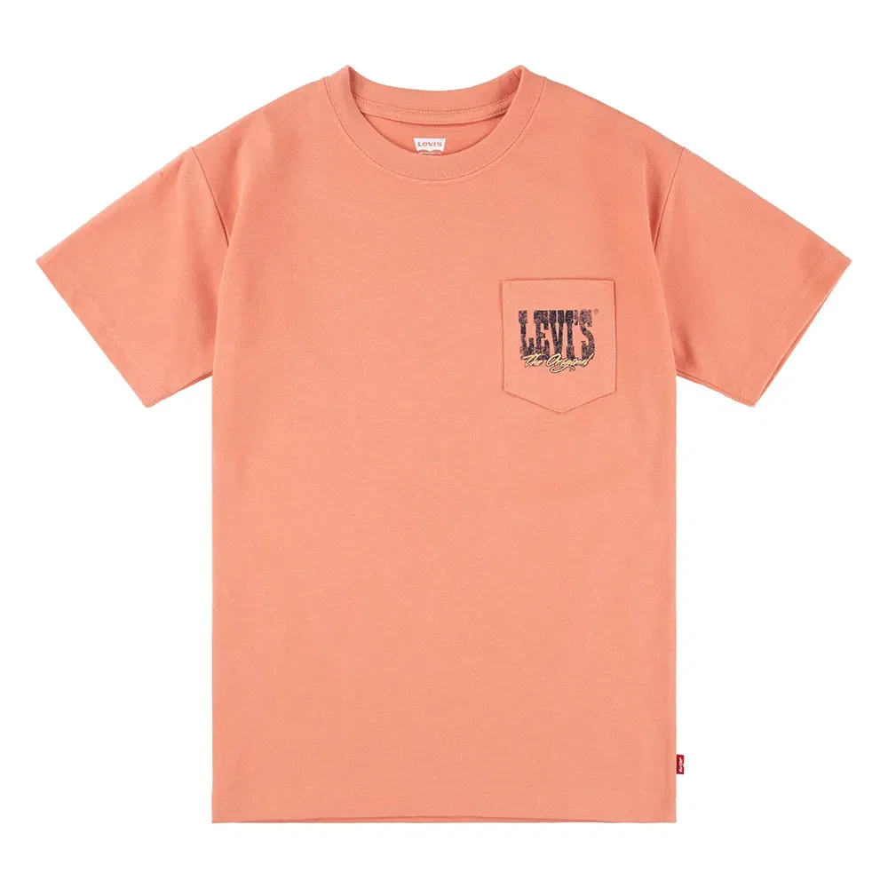 Детская футболка с принтом Canyon Landscape Levi's, Orange