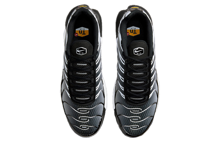 Кроссовки Nike Air Max Plus, черный/серебристый — фото 4