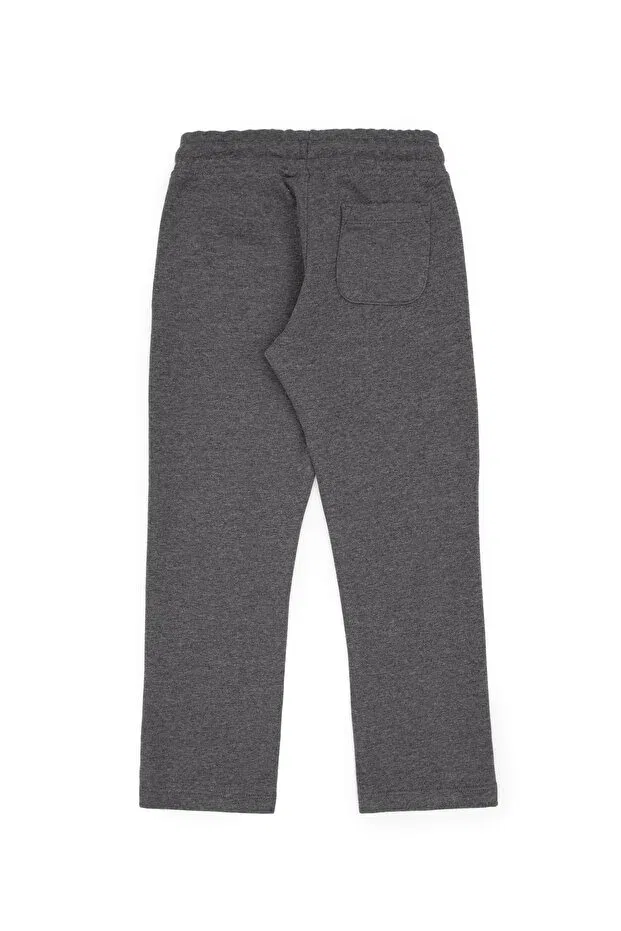 Детские спортивные штаны для мальчиков с принтом U.S. Polo Assn., Anthracite Melange — фото 3