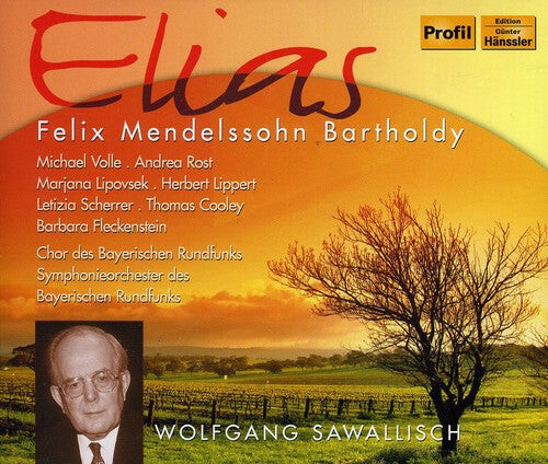 

CD диск Mendelssohn / Rost / Lipovsek / Brs / Swallisch: Elias