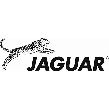Парикмахерские ножницы Heron Titan 25055-1 5.5 черные Jaguar — фото 2