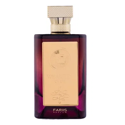 Парфюмерная вода Fariis Wealthy Club Eau De Parfum For Men, 100 мл