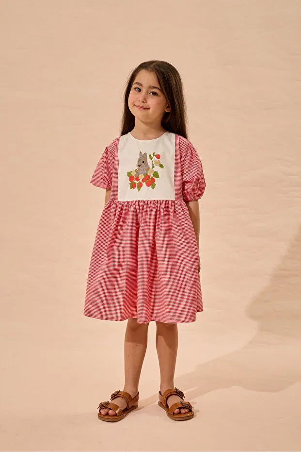 Детское платье для девочек с коротким рукавом Rabbit Embroidered Gingham Dress Fahhar Kids, Red — фото 2