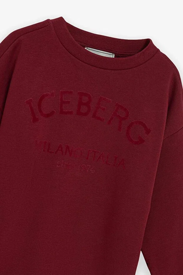 Детские свитшот для девочек с длинным рукавом Iceberg, Red — фото 2