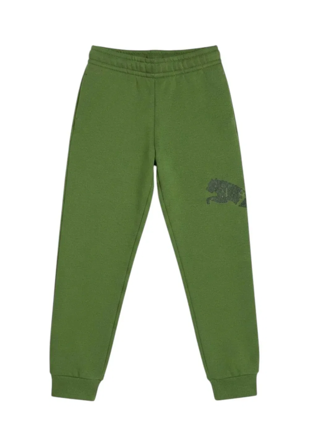 Брюки Pantalone ess grap pants tr col 68 - спортивные штаны Puma, Green — фото 2