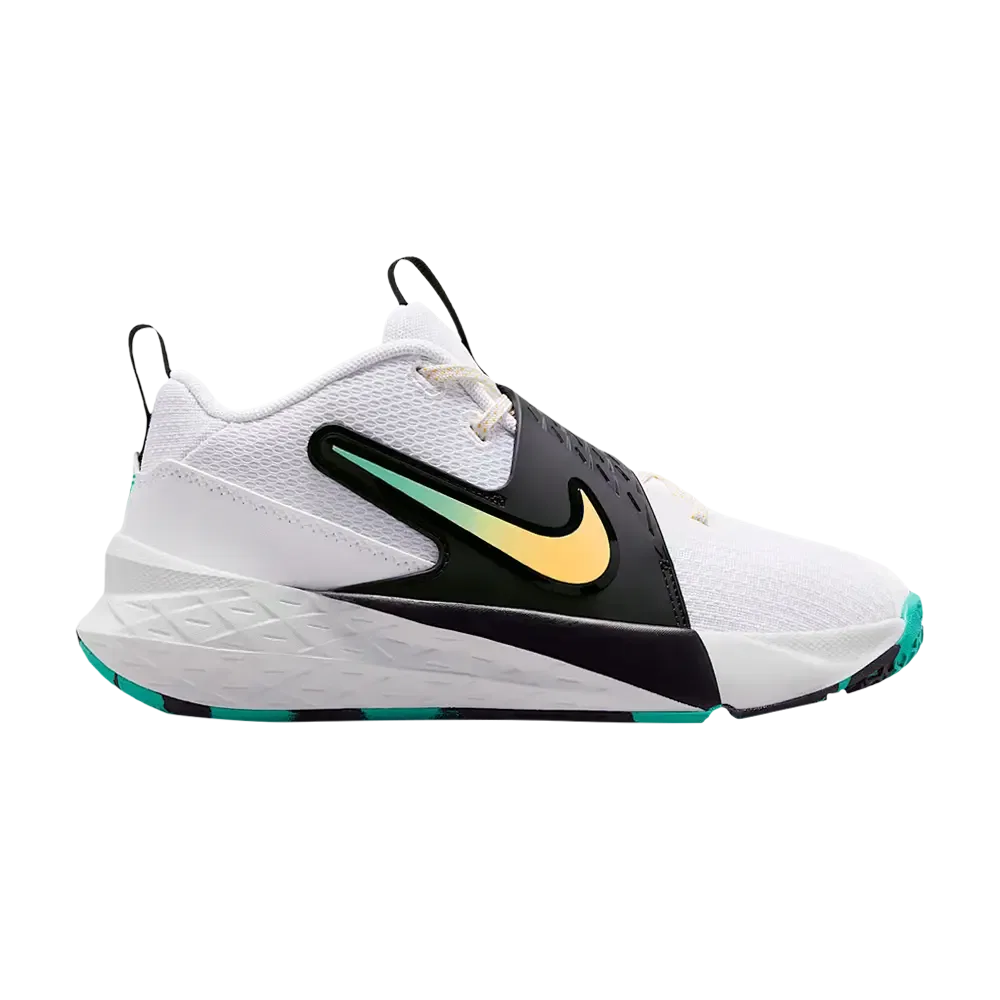 Кроссовки Team Hustle D 12 GS Nike, White Black Green