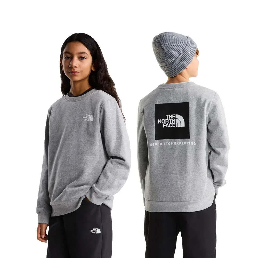 Детский свитшот для девочек с принтом Evolution Box NSE The north face, Grey — фото 2