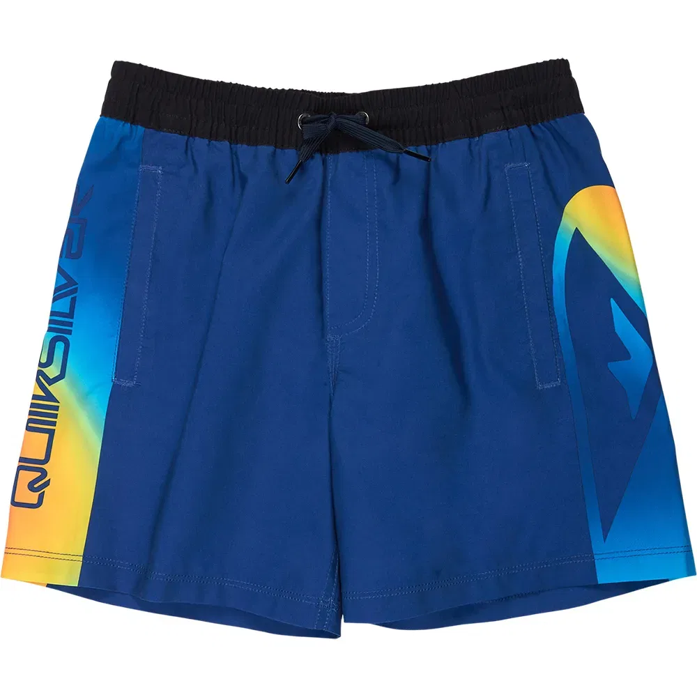 Плавки Everyday Holmes Volley 16'' Quiksilver, синий