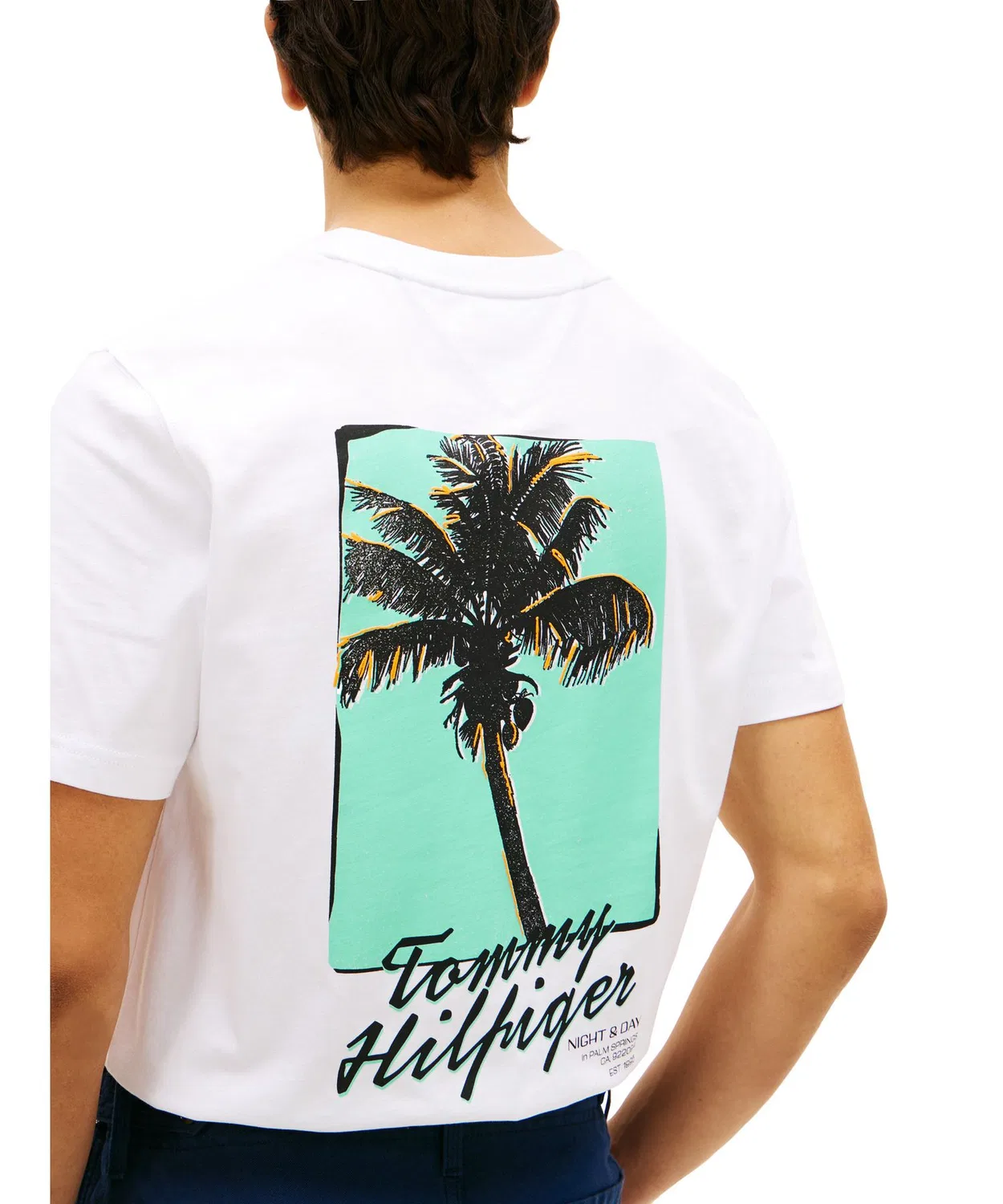 Мужская футболка с фотопринтом, короткий рукав TOMMY HILFIGER, White