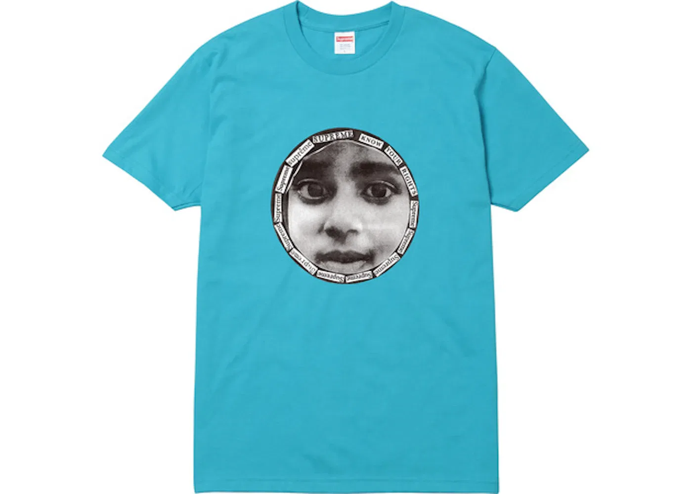 Мужская футболка с принтом Supreme Know Your Rights Tee, Teal
