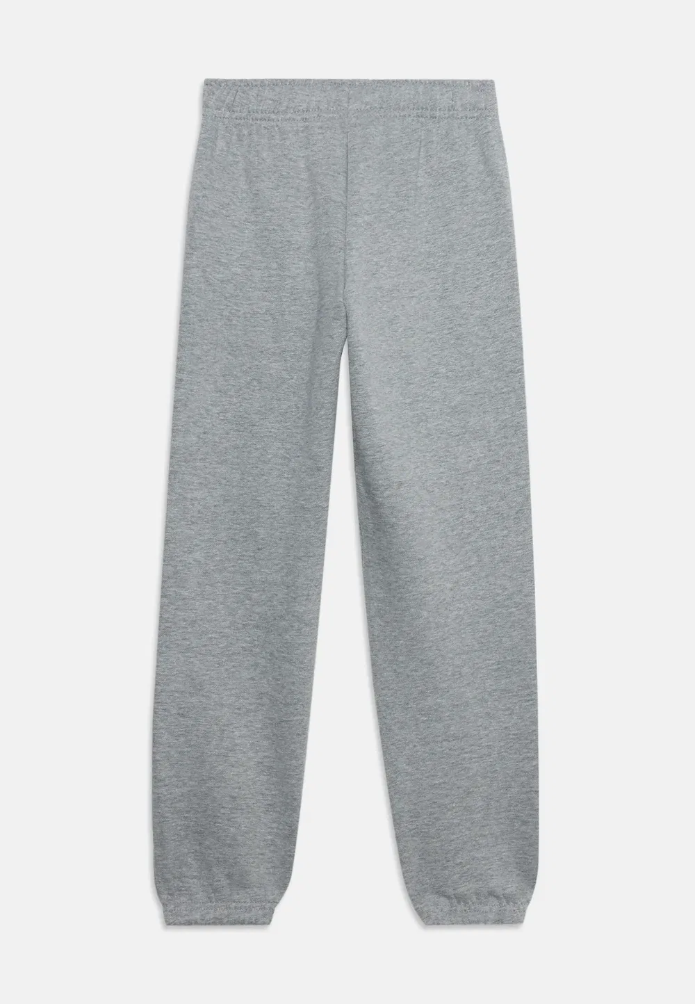 Спортивные брюки Evolution Simple Dome Pant унисекс - спортивные штаны The North Face, Pale Grey Heather — фото 2