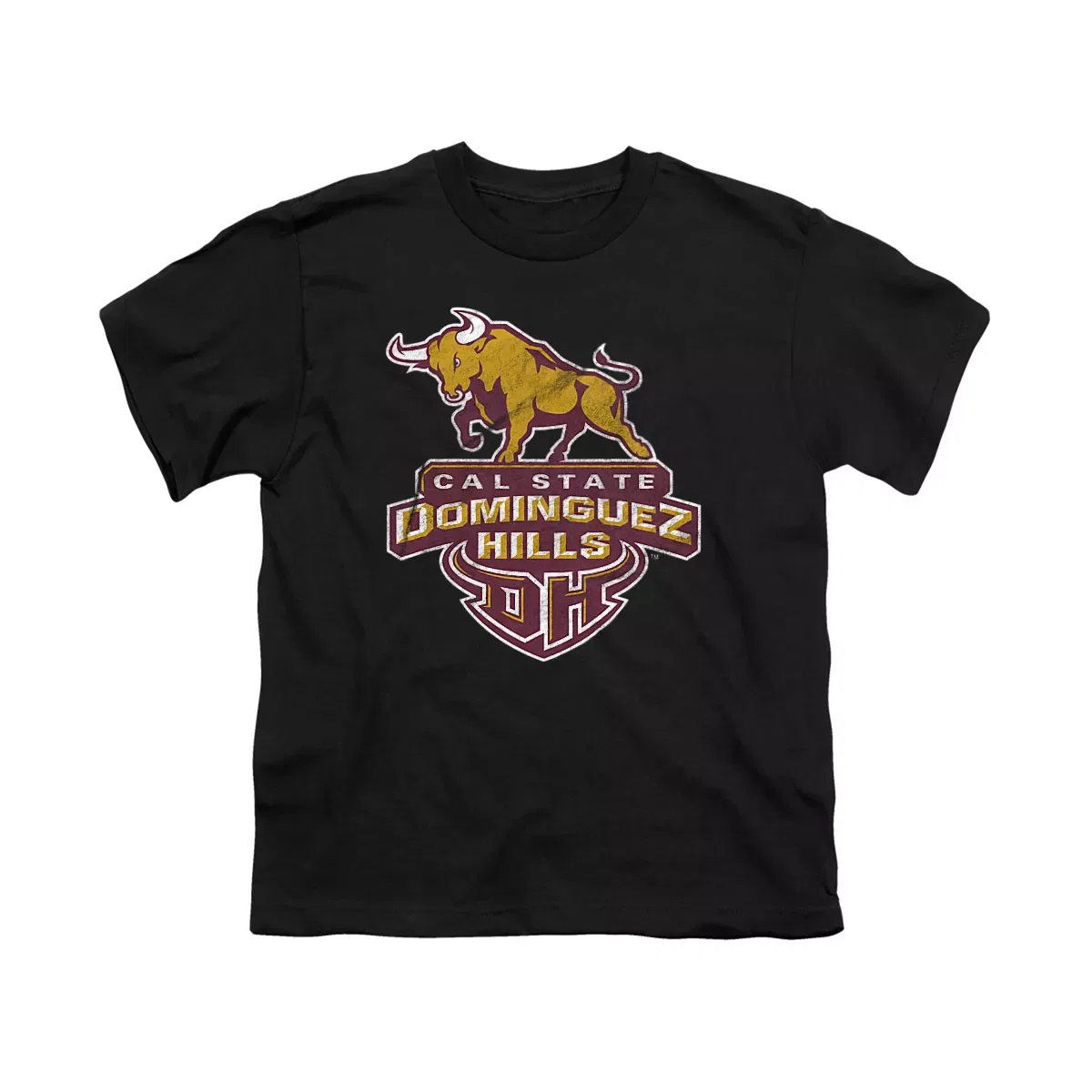 Детская футболка с принтом Cal State Dominguez Hills Distressed Primary Kids T-Shirt For Youth Black NCAA, Black