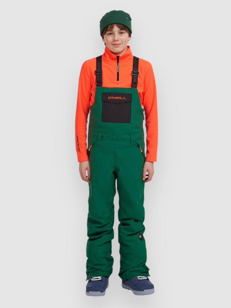 

Штаны для сноуборда O'Neill Fwc'Cruz Kids Bib Pants, emerald envy colour block, Черный, Штаны для сноуборда O'Neill Fwc'Cruz Kids Bib Pants, emerald envy colour block