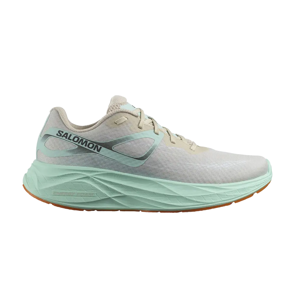 

Кроссовки Aero Glide Salomon, серый