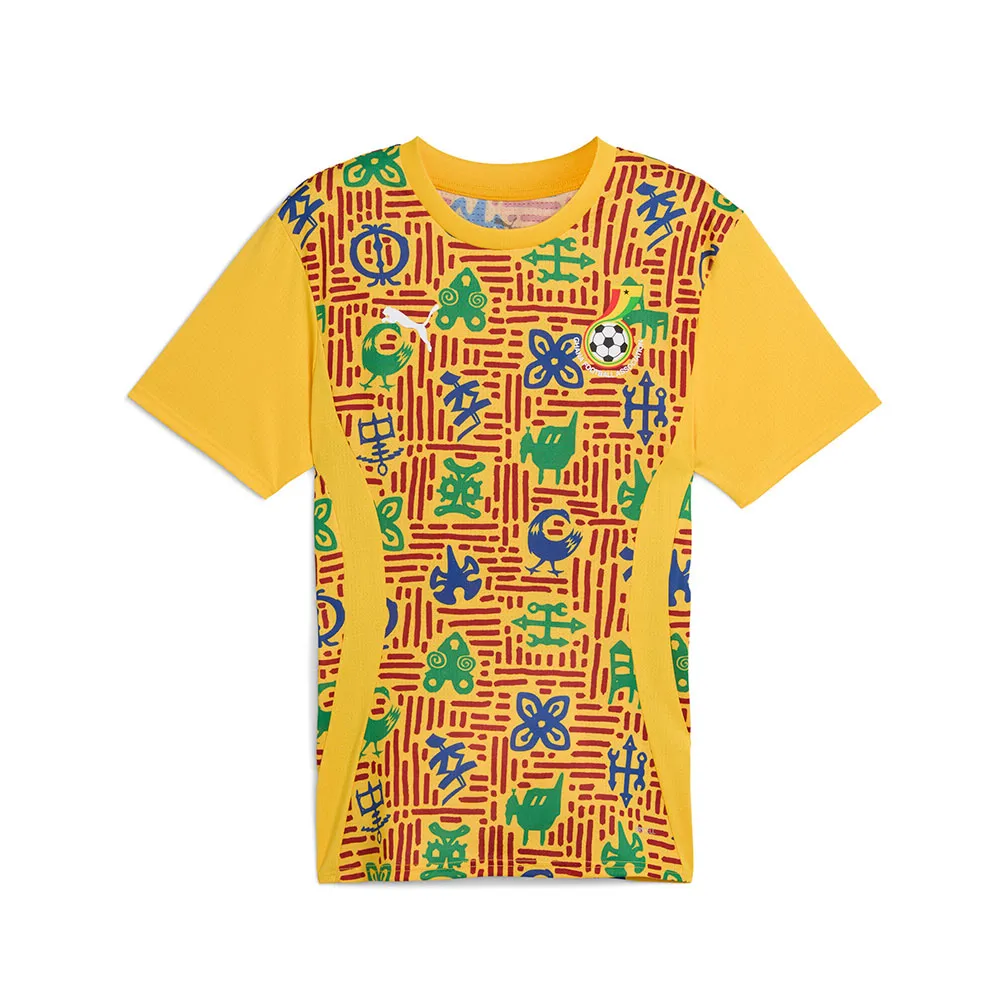 

Футболка с коротким рукавом Puma Ghana 24/25 pre match, желтый