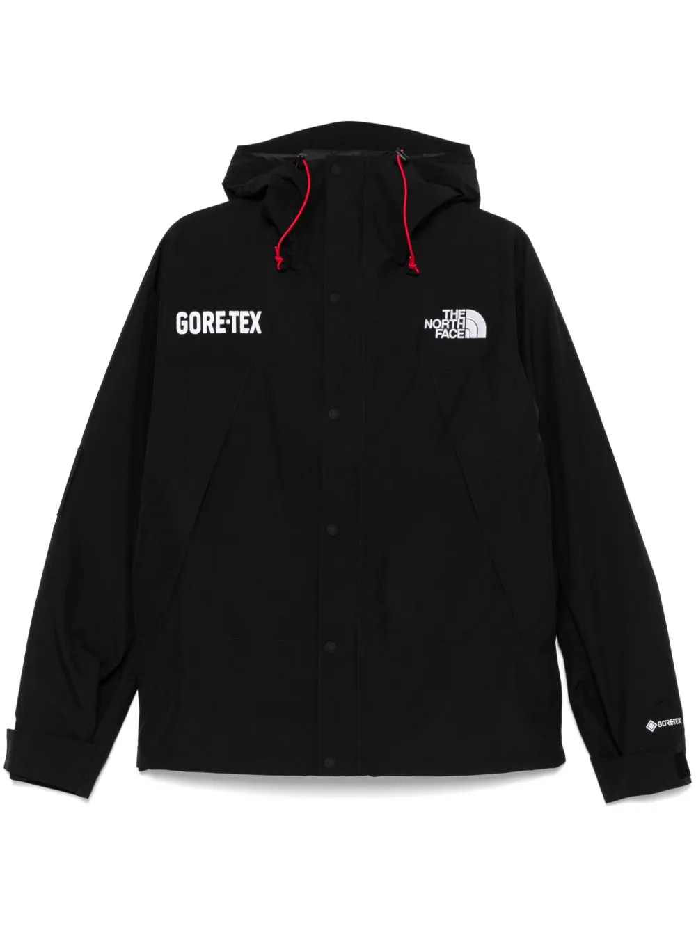 

Куртка GORE-TEX Mountain The North Face, черный