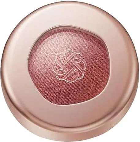 Тени для век Silky Matte Decorté 6 г Retro Noble
